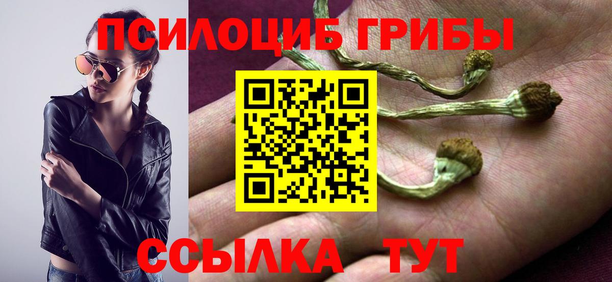 Псилоцибиновые грибы ЛСД Холмск