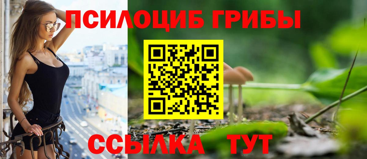 где купить наркотик  Псилоцибиновые грибы мухоморы  Вход с VPN  Холмск 